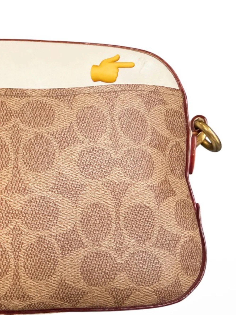 2018 Coach Camera Bag in Signature Canvas (Style #31208)